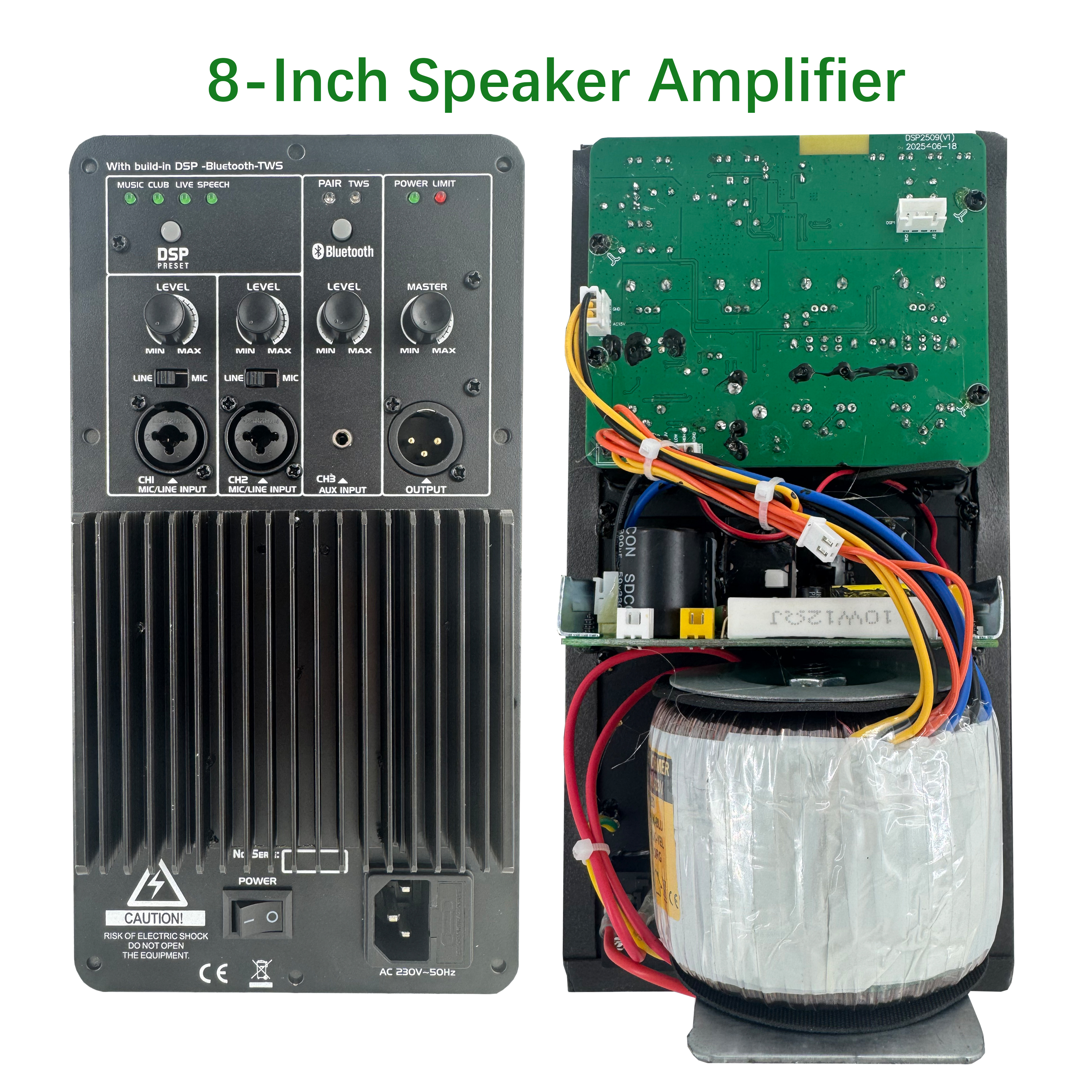 DSP2509 High Cost-performance Multi-function Class AB Amplifier na may DSP