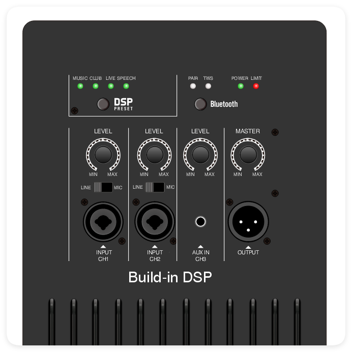 DSP2509 High Cost-performance Multi-function Class AB Amplifier na may DSP